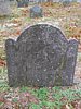 Genealogy 412.jpg