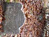 Genealogy 444.jpg