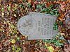 Genealogy 455.jpg