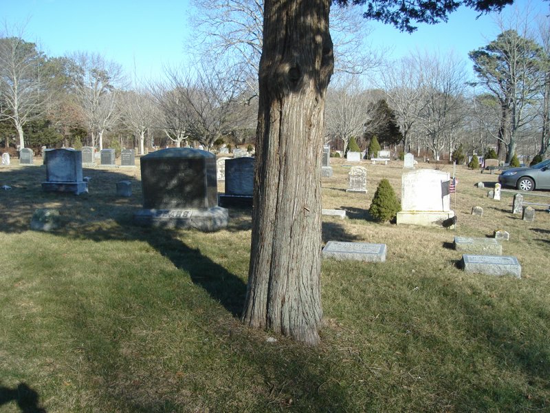 6aFeb07 116.jpg
