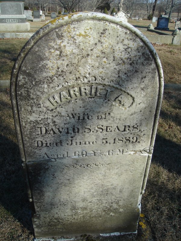 6aFeb07 139D.jpg