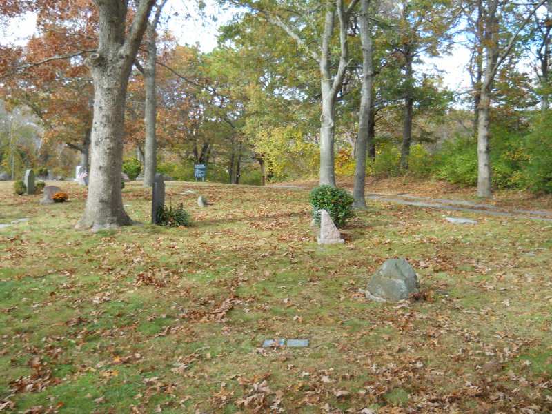Cape 189.jpg