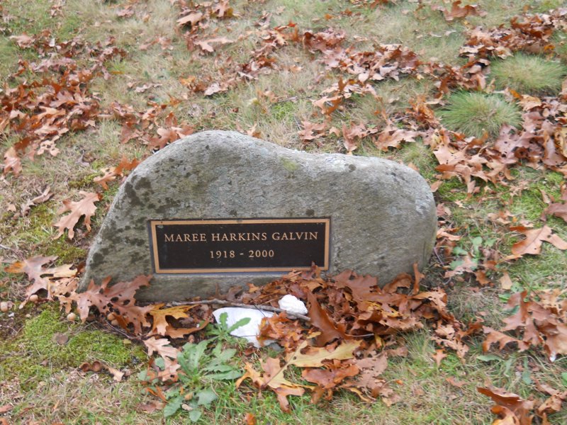 Cape 195D.jpg