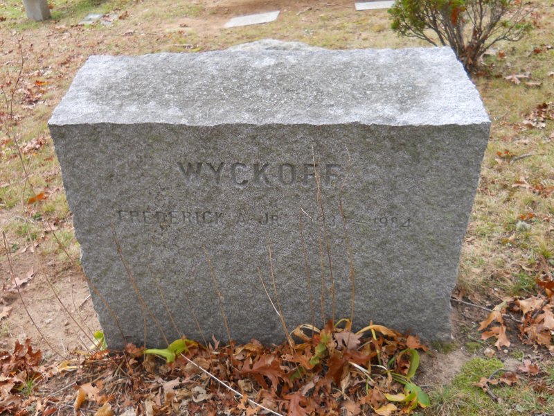 Cape 221D.jpg