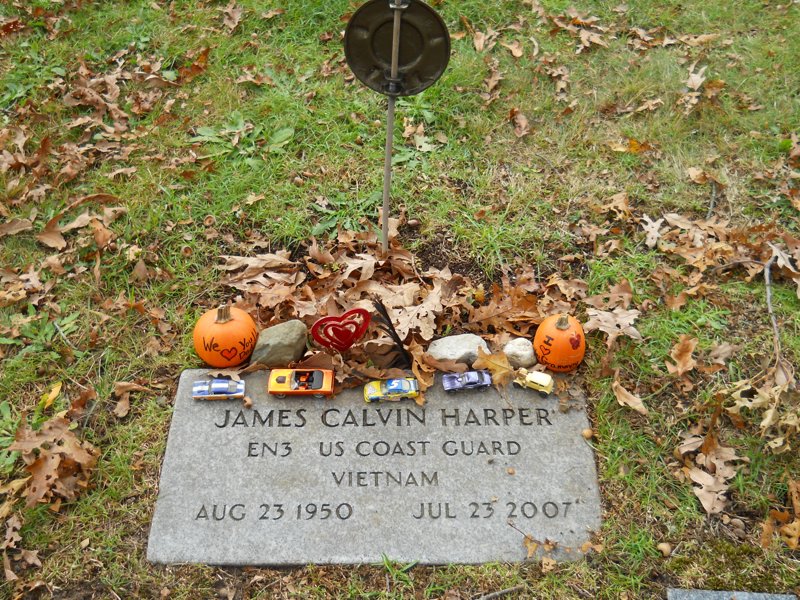 Cape 233D.jpg