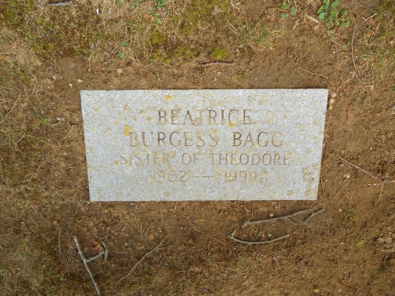 Cape 242D.jpg
