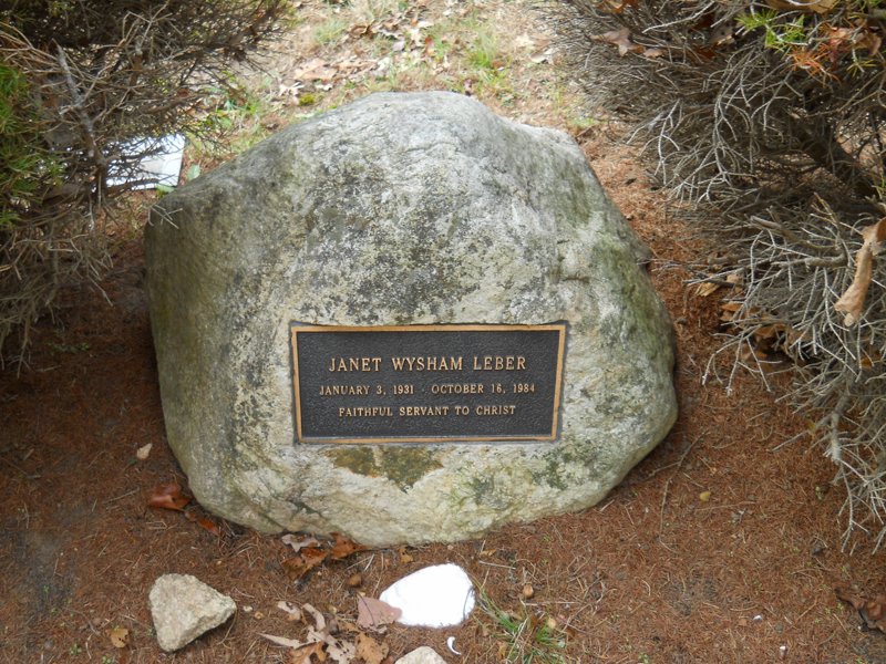 Cape 245D.jpg
