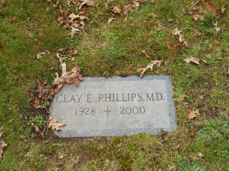 Cape 248D.jpg