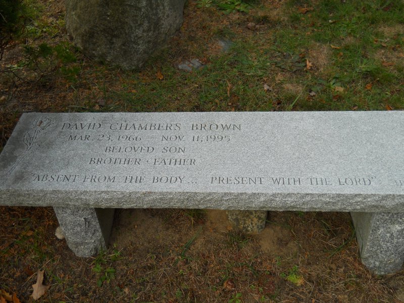 Cape 274D.jpg