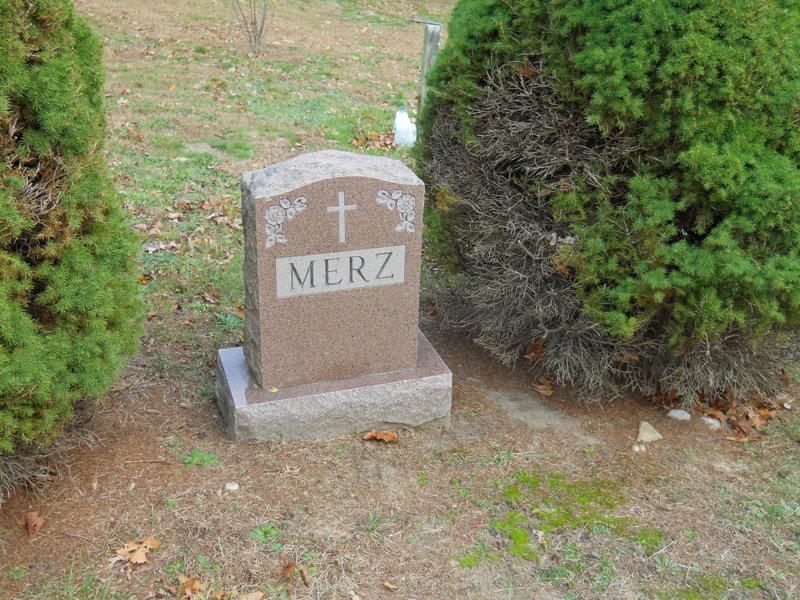 Cape 286.jpg