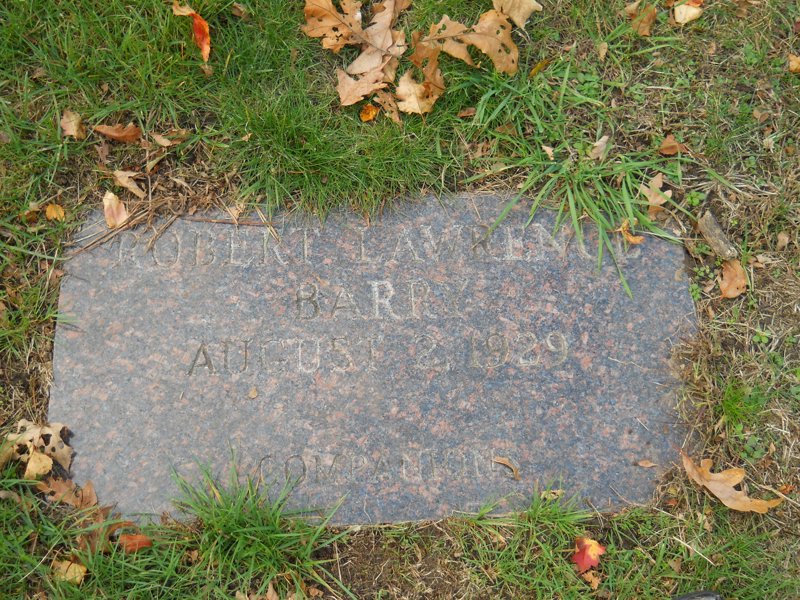 Cape 297D.jpg