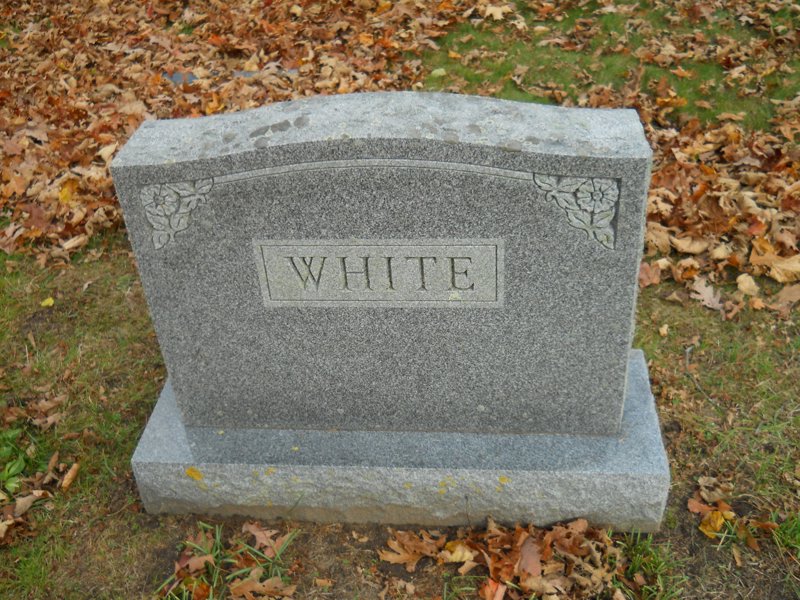 Cape 317.jpg