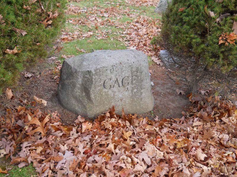 Cape 335.jpg