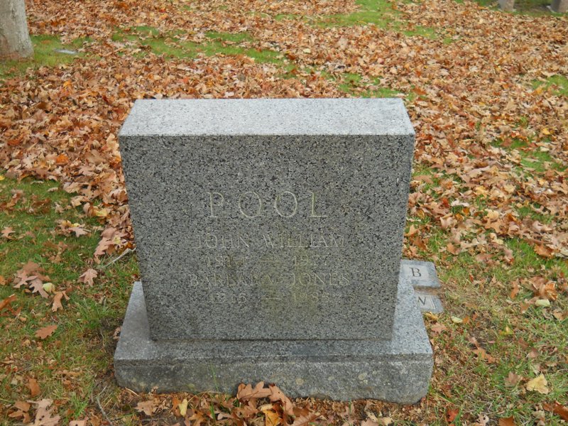 Cape 338D.jpg
