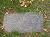 Cape 297D.jpg