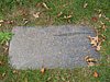 Cape 298D.jpg